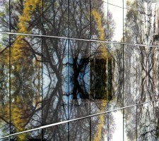 roundednature03