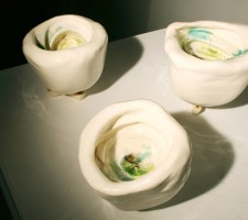 rockshell003