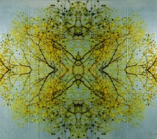 0010greenreflection