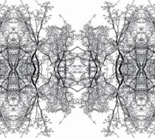 005inorganiclandcatalog