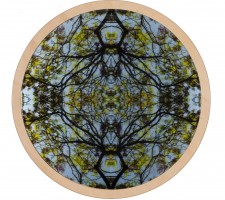 05Roundednature4